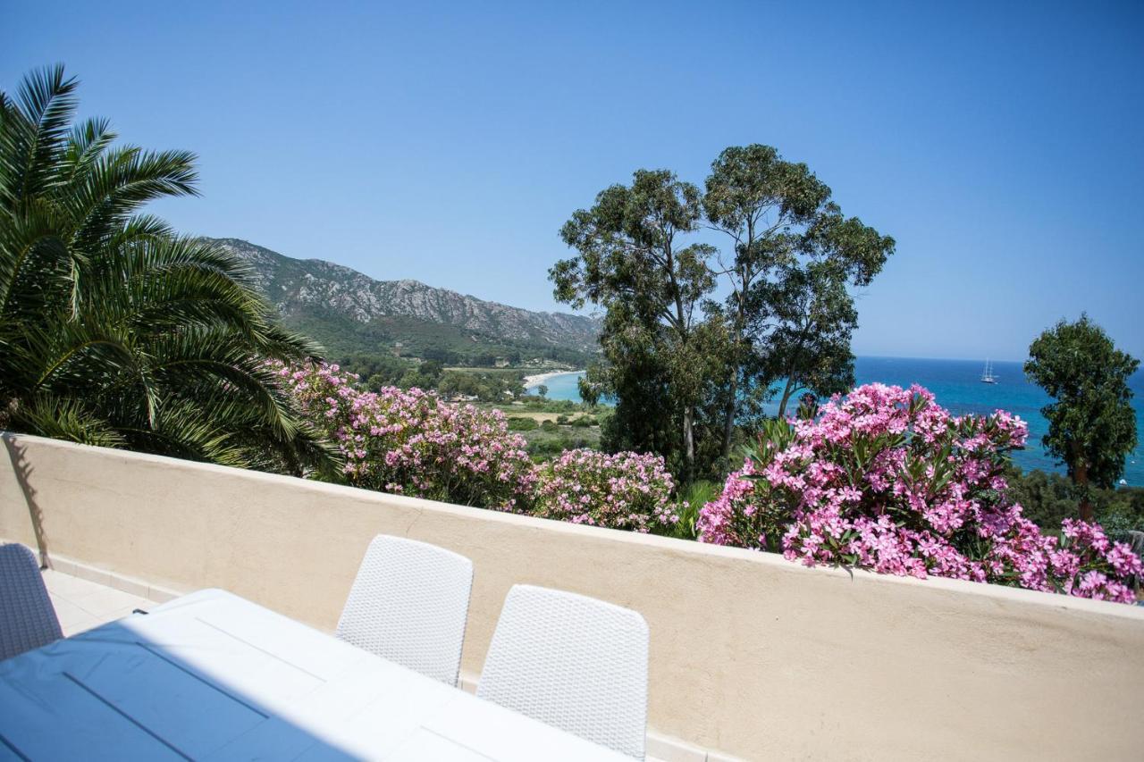 Appartement Terrasse La Citadelle Appartements Saint Florent 外观 照片