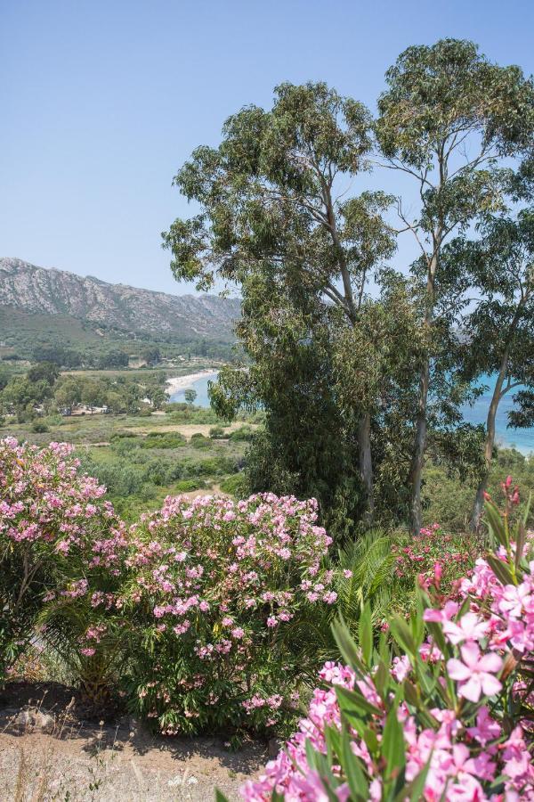 Appartement Terrasse La Citadelle Appartements Saint Florent 外观 照片